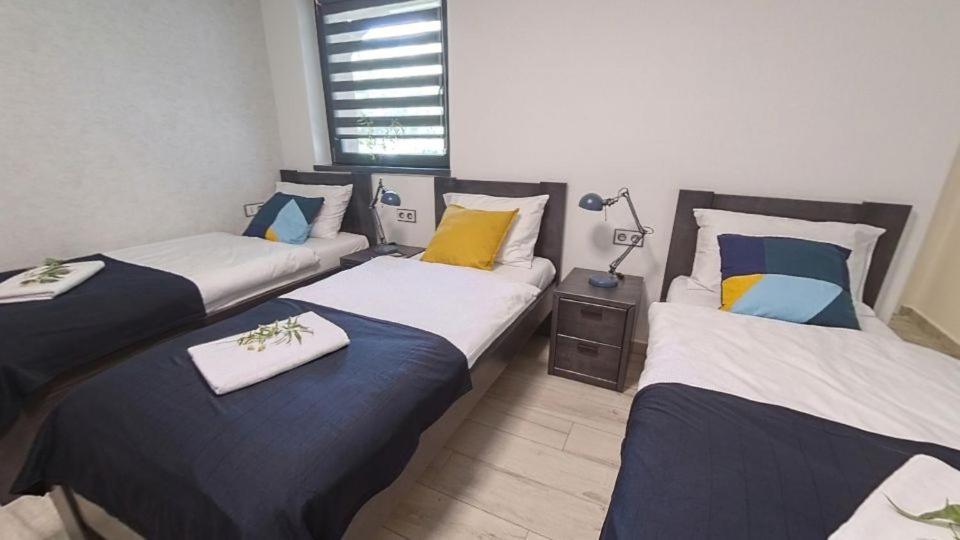 קלוצ'ה Meszes Apartman מראה חיצוני תמונה